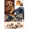 HES-3372 - Herma Decor Sticker, Hunde