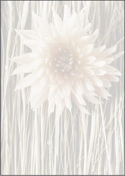 Sigel DP092 - Motiv-Papier, Straw Flower, 90 g, A4, 50 Blatt
