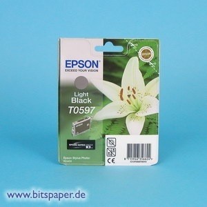 Epson C13T059740 - Tintentank light schwarz
