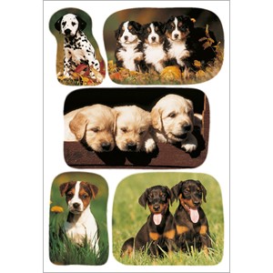 HERMA 3528 - Herma Decor Sticker, Hundewelpenfotos