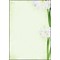 DP463 - Sigel Motiv-Papier, Green Flower, A4, 90 g, 25 Blatt
