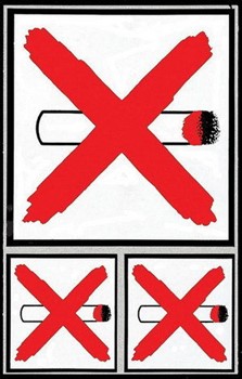 Avery Zweckform 3740 - Hinweis-Etiketten, 2 Formate, 3 Etiketten, Rauchen verboten, wetterfeste Folie