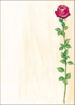 Sigel DP108 - Motiv-Papier, Rose Bloom, 90g