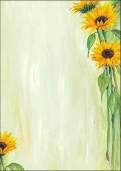 Sigel DP109 - Motiv-Papier Sunflower, 90g