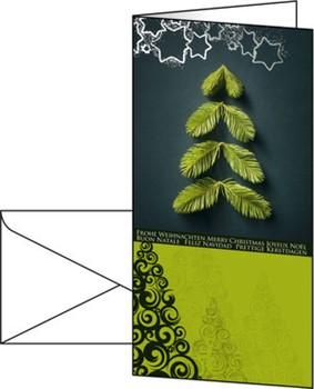 Sigel DS343 - Weihnachts-Karten (inkl. Umschläge), Twigs