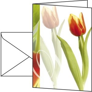 Sigel DS500 - Anlass-Karten (inkl. Umschläge), Tulpe