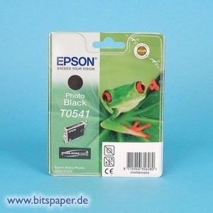 Epson T054140 T0541 - Tintentank photo black