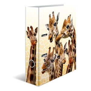 HERMA 19951 - Motivordner, A4, Exotische Tiere, Giraffenfreunde