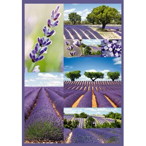 HERMA 3076 - Decor Sticker, Lavendelfelder