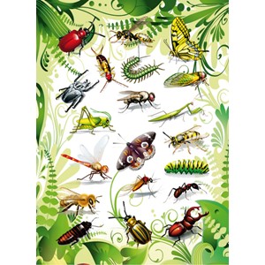 HERMA 3231 - Magic Sticker, Insekten, 2D Folie