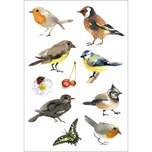 HERMA 3351 - Herma Decor Sticker, Aquarell Vögel