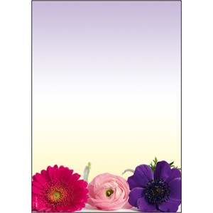 Sigel DP003 - Motiv-Papier, Flower Harmony