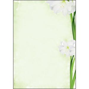 Sigel DP463 - Motiv-Papier, Green Flower, A4, 90 g, 25 Blatt