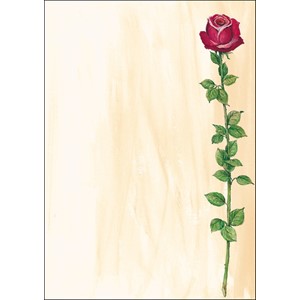 Sigel DP695 - Motiv-Papier, Design Rose Bloom, 90g