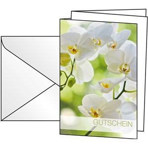 Sigel DS005 - Gutschein-Karten Orchid