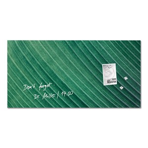 SIGEL GL371 - Glas-Magnettafel Artverum, Design Palm Leaf, 91 x 46 cm, grün, matt